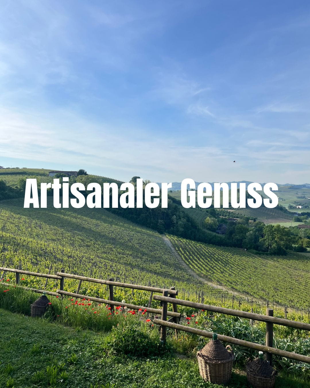 Eine hügelige Weinlandschaft im Sonnenschein mit grünen Reben, einem Holzzaun mit roten Mohnblumen im Vordergrund und dem großen weißen Schriftzug „Artisanaler Genuss“ in der Mitte des Bildes.
