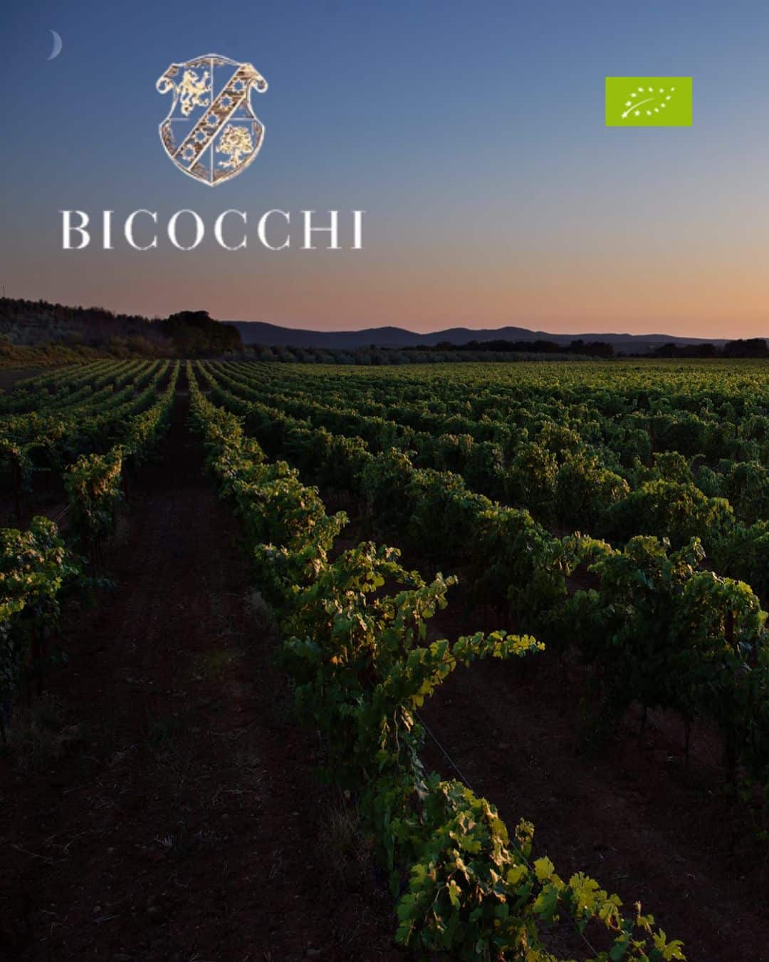 Az. Agr. F. Bicocchi