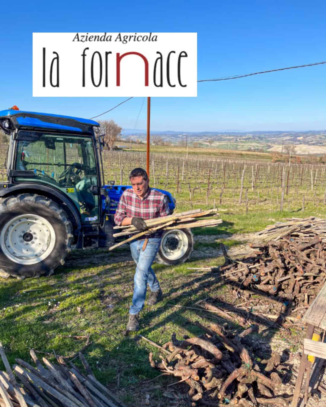 Az. Agr. La Fornace