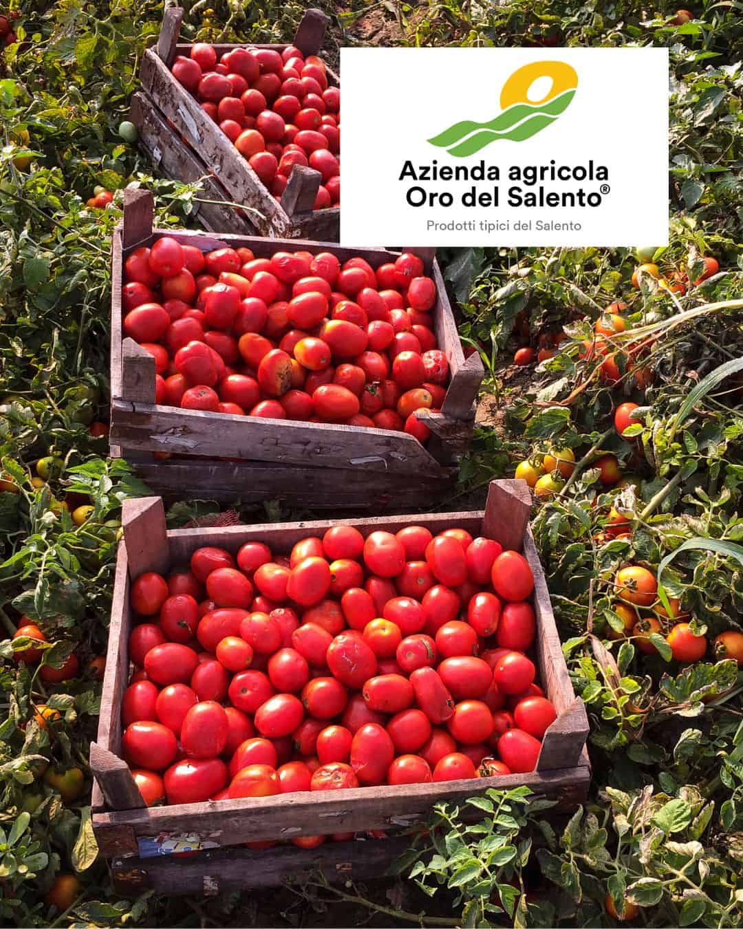 Soc. Agr. Oro del Salento
